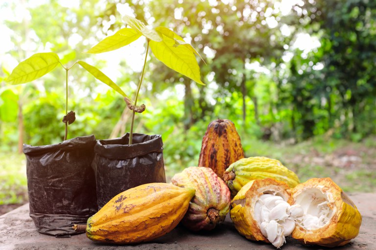 235808d6-a30d-4908-819a-1562b4eadba3